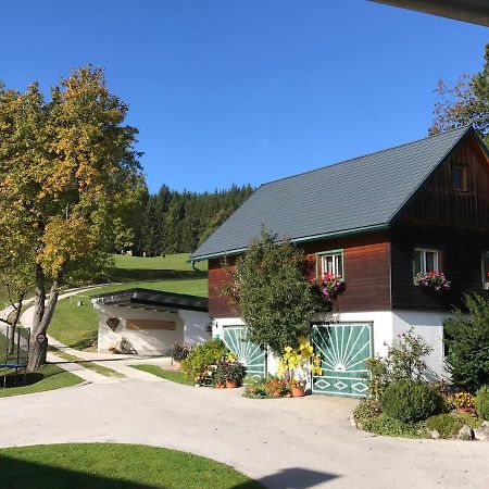 Ferienhaus Zwickelreith Göstling an der Ybbs المظهر الخارجي الصورة