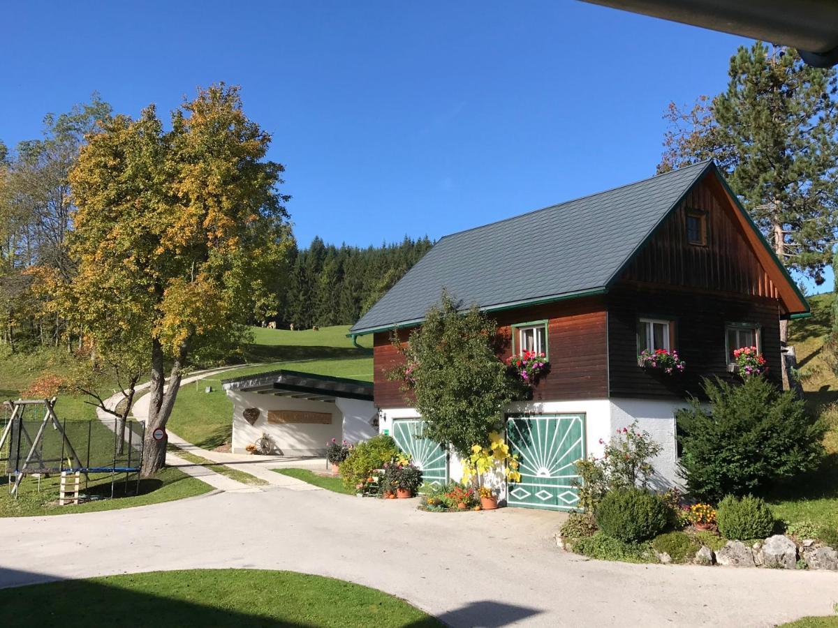 Ferienhaus Zwickelreith Göstling an der Ybbs المظهر الخارجي الصورة