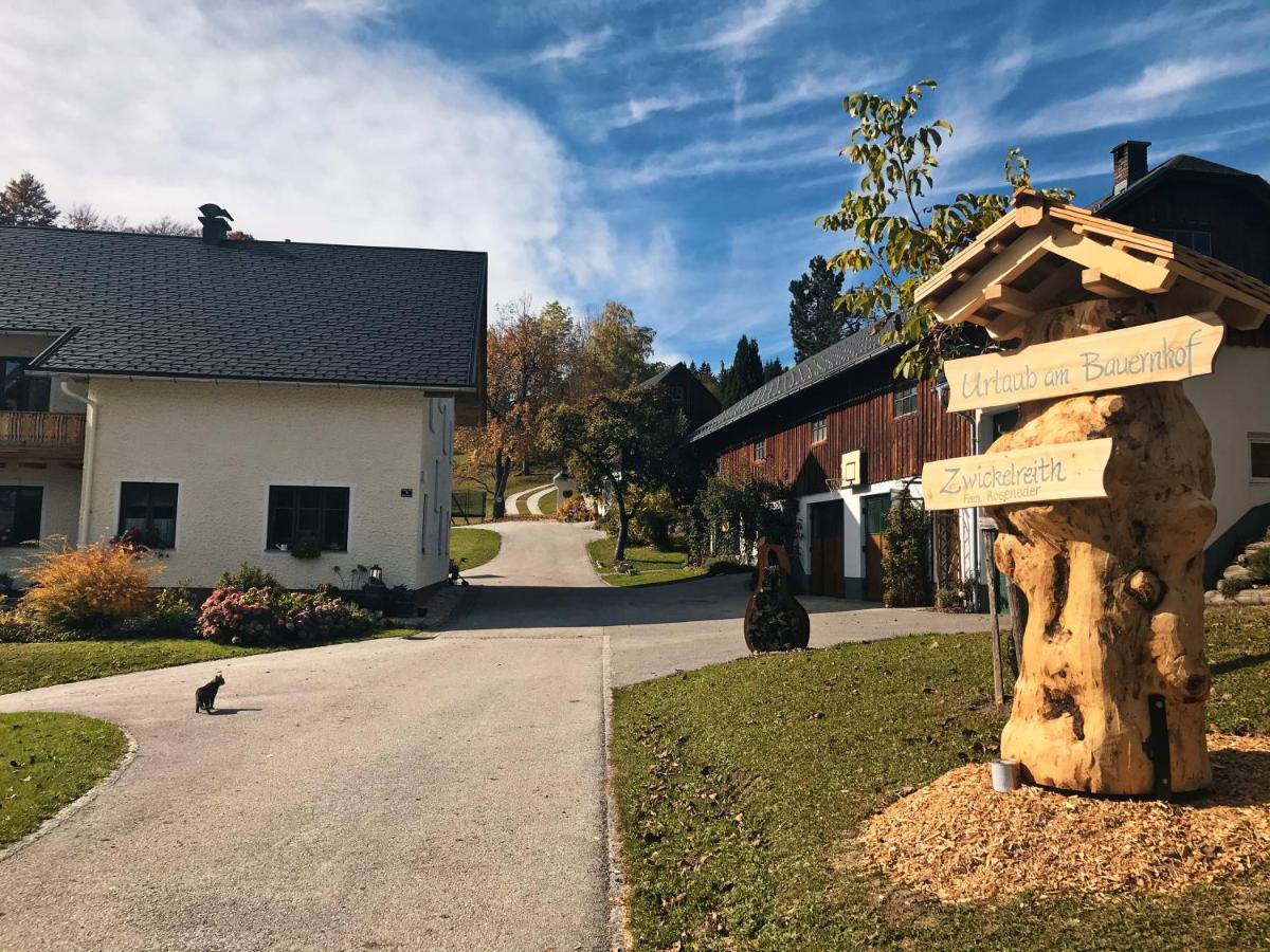 Ferienhaus Zwickelreith Göstling an der Ybbs المظهر الخارجي الصورة