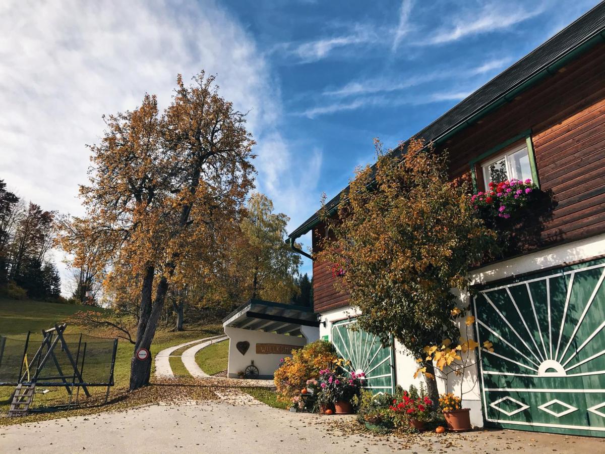 Ferienhaus Zwickelreith Göstling an der Ybbs المظهر الخارجي الصورة
